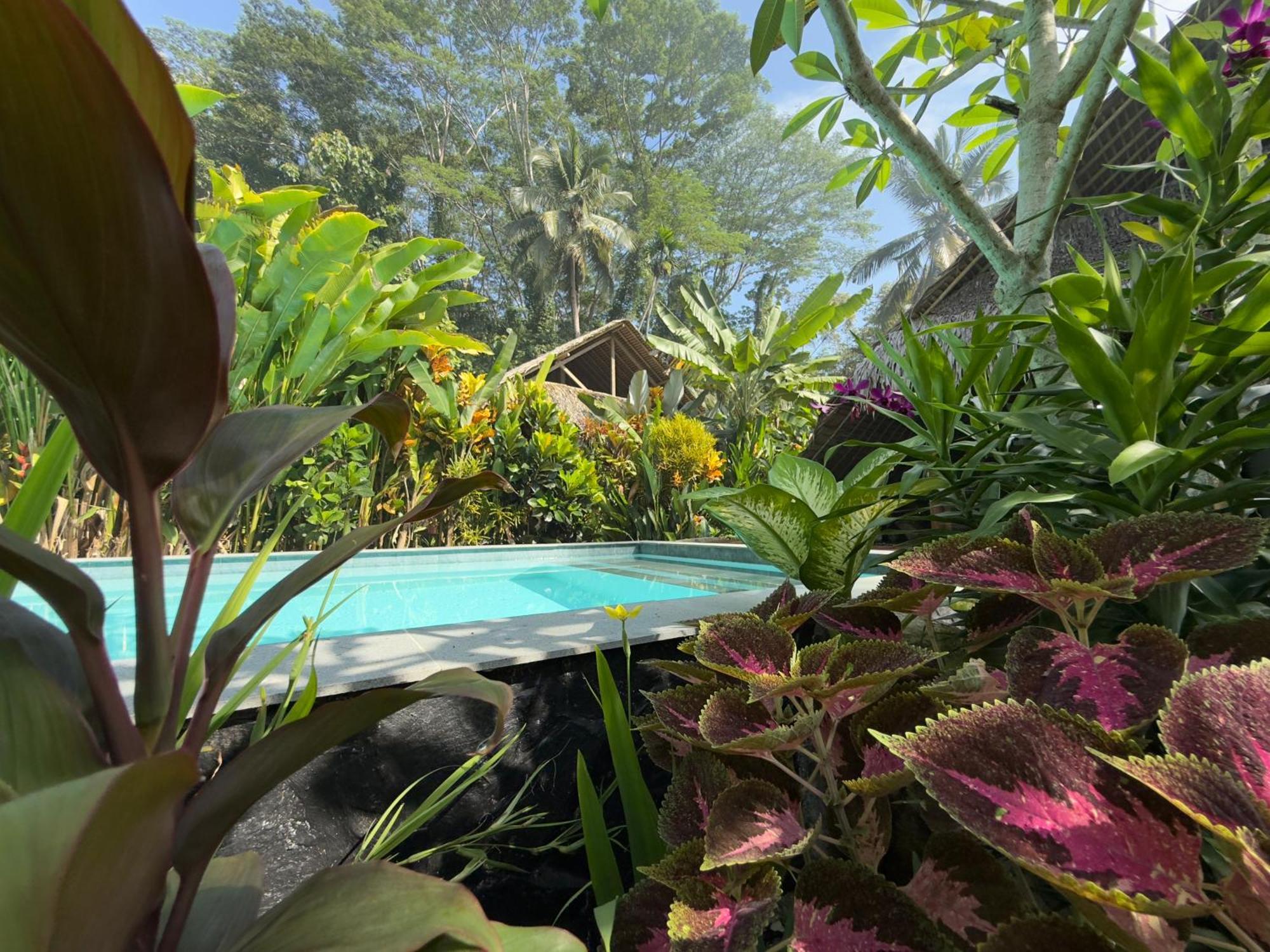 Rnv Eco Resort Bungalows Batukaras Eksteriør billede