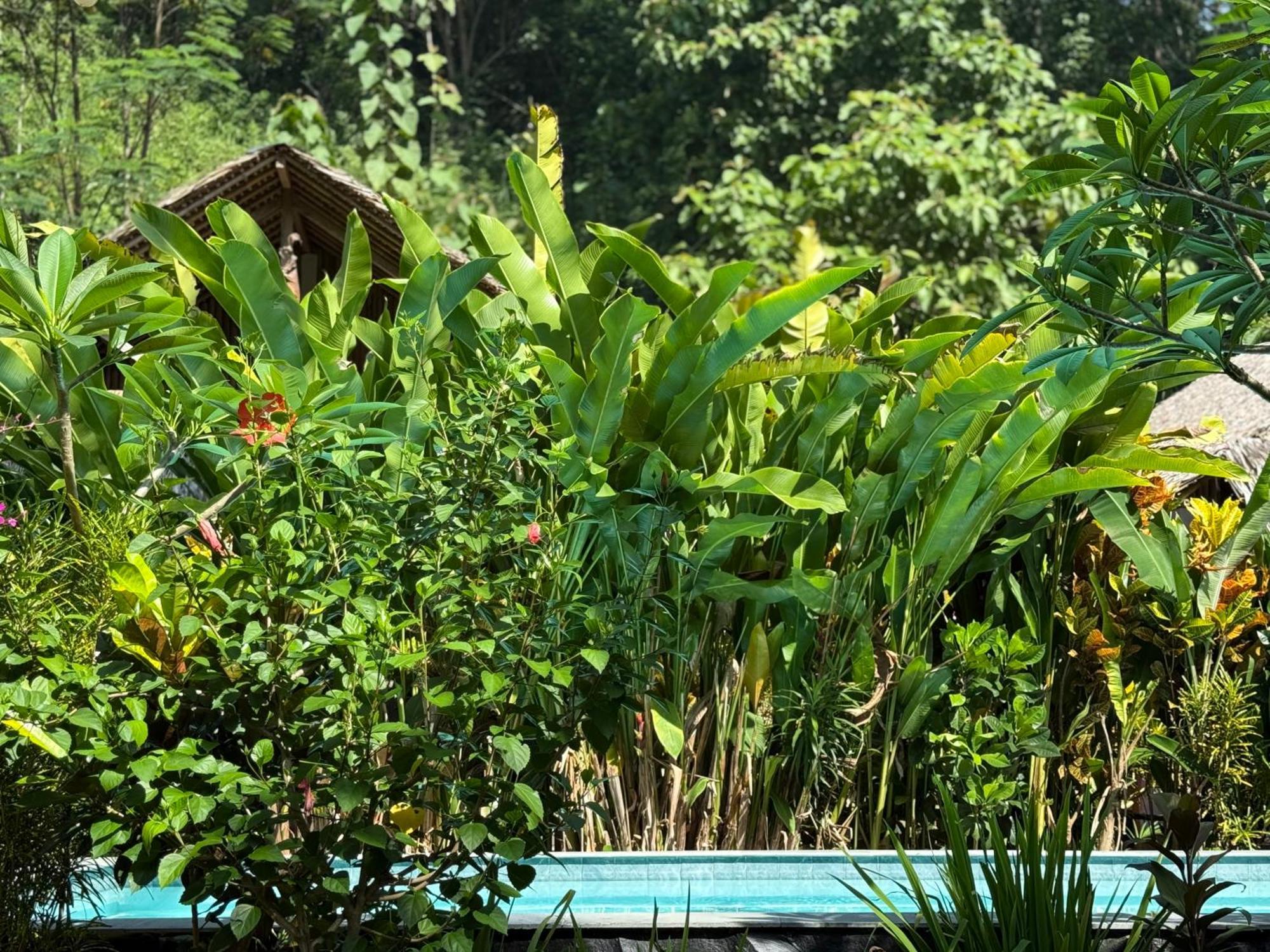 Rnv Eco Resort Bungalows Batukaras Eksteriør billede